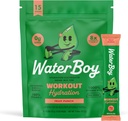 Waterboy Workout Hydratation $ 2,960mg Sucre sans électrolyte en poudre Packets $ L-Glutamine + Vitamines $ Aucun sucre, tout naturel, sans gluten $ 15 Buvez des mélanges de bâtons (Fruit Punch)