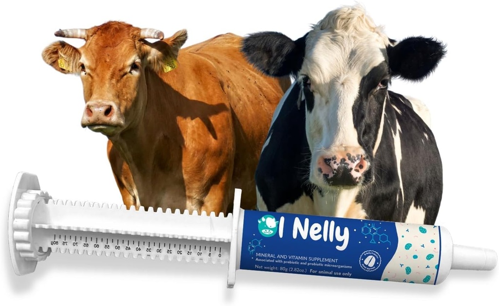 Ruminants Pâte pré et probiotique (80g)- Pré et probiotiques avec des vitamines et des minéraux- 6 souches et 8 milliards CFU- Immune et Gastro Health Support for All Ruminants: Bovines, Chèvres & More