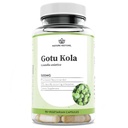 Estratto di Gotu Kola Gotu, Standardizzato a 10 Triterpene Percentuali, Prodotto in USA, 90 Capsule, Non OGM, Gluten Free, Vegan
