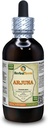 Arjuna (Terminalia Arjuna) Teinture, Extrait liquide d'écorce séchée biologique (Marque: HerbalTerra, Fièrement fabriqué aux États-Unis) 4 fl.oz (120 ml)