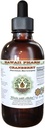 Estratto di liquido senza alcool di mirtillo, mirtillo (Vaccinium Macrocarpon) Dried Berry Glycerite Hawaii Pharm Natural Herbal Supplement 2 oz