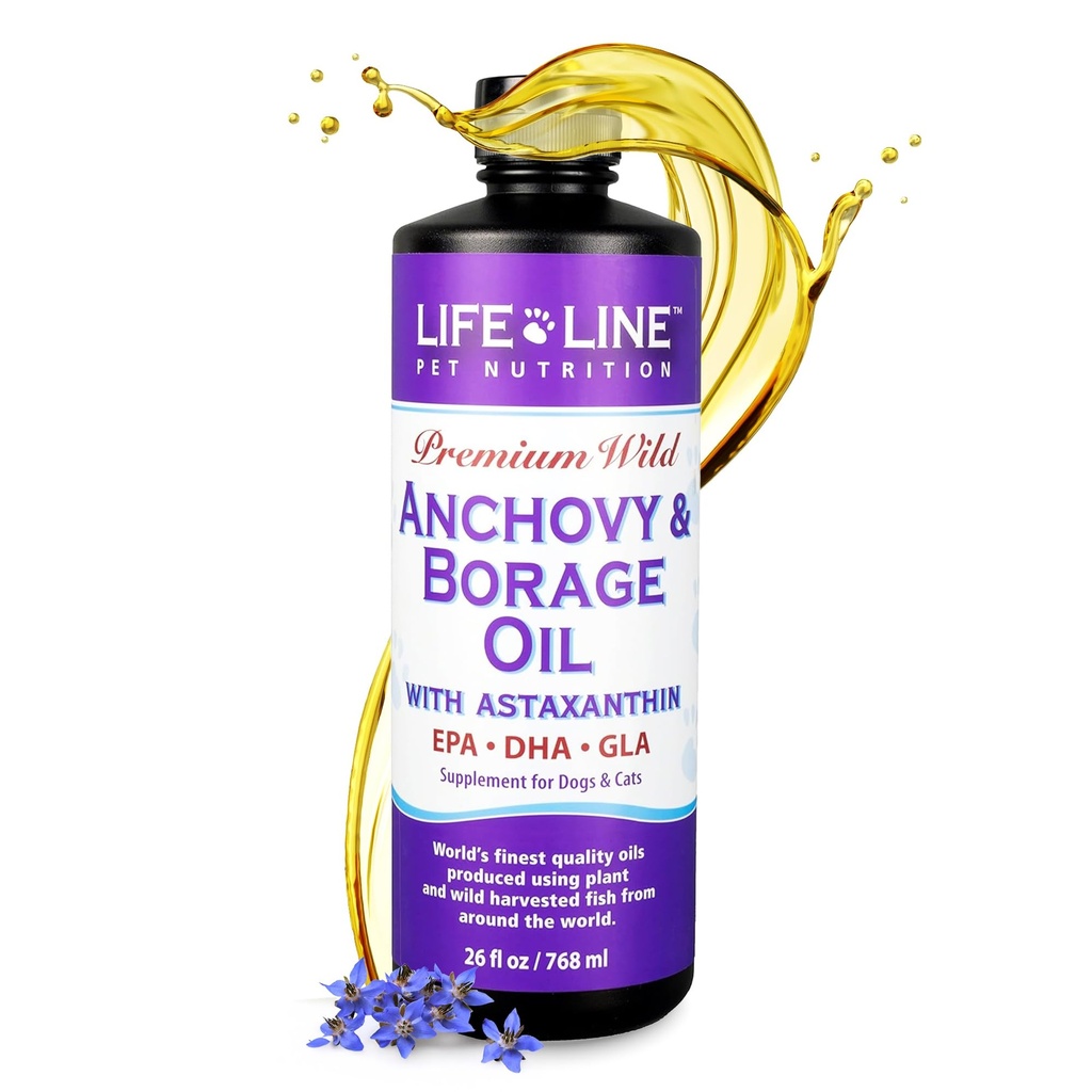 Acciuga selvatica + Olio di borraggio per cani | Supplemento Omega-6 GLA per la salute della pelle, Allergies & Coat | Riduce spargimento, prurito & gonfiatura – 26 oz
