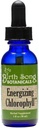Birth Song Botanicals Energizing Chlorophyll Tincture, Super-Konzentrierte flüssige Chlorophyll Drops, Kräuter-Energie-Supplement und interne Deodorizer, Mint Flavor 1oz Bottle