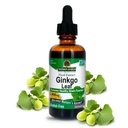 Natur Antwort Alkoholfreie Ginkgo Blatt 2000mg 2oz Extrakt | Stimuliert Gedächtnis, Stimmung & Konzentration | Glutenfrei, Kosher zertifiziert und keine Konservierungsstoffe | Einzelzähl