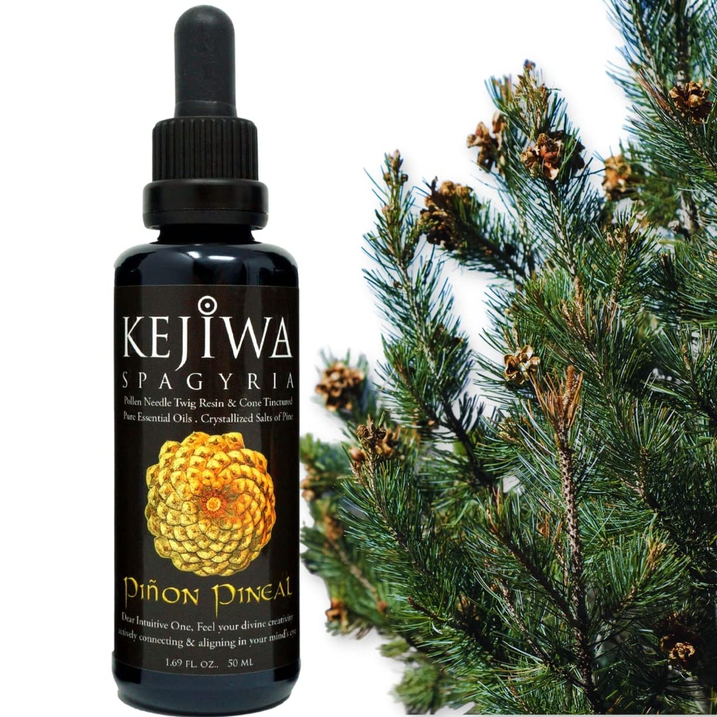 PIÑON PINEAL Spagyria: Wild Harvested Pine Herbal Tincture for Third Eye Activation, Nootropic, Adaptogen, Vitality Support 1.69 fl oz