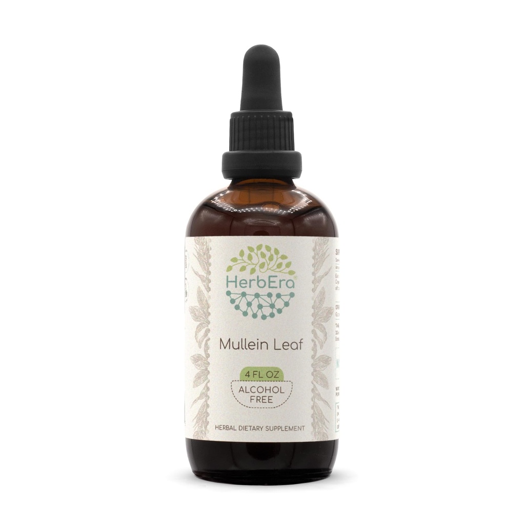 Mullein Leaf B120 Alkoholfreier Kräuterextrakt Tinktur, Super-Concentrated Mullein (Verbascum thapsus) Getrockneter Blatt (4 fl oz)
