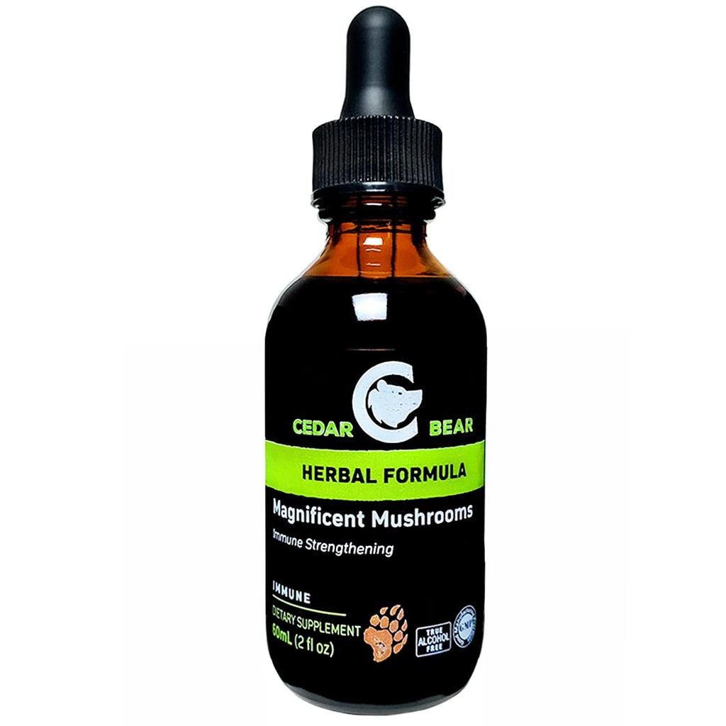 Cedro Orso Magnifico Funghi un supplemento di erbe liquido che costruisce il sistema immunitario, protegge, rafforza e bilancia salute generale 2 Fl Oz