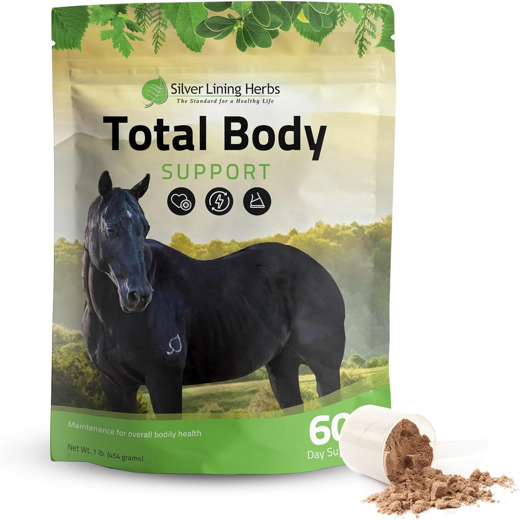 Silber Futter Kräuter Gesamtkörper Pferde Ergänzungen Pulver für psychische und allgemeine Gesundheit - Förderung besserer Haut und gesunden Mantel für Pferde - Natürliche Kräuter Equinity Horse Supplement - 1 lb Tasche