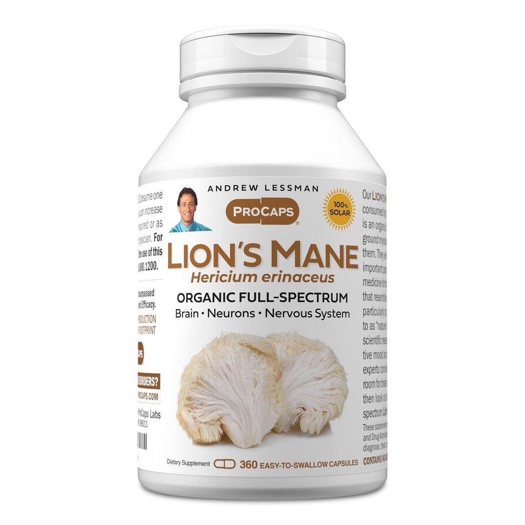 ANDREW LESSMAN Lion’s Mane 360 Capsule - Organic Full Spectrum Lion’s Mane Mushroom Extract - Supporta il cervello sano, cognitivo, e la funzione di sistema nervoso - Nessun Additivi.