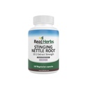 Real Herbs Sting Nettle Root Extract 7500mg (750mg 10:1 Extrakt) – Vegetarisch Freundlich, Non-GMO, Glutenfrei – Unterstützt Prostata und Urinärgesundheit – 100 Kapseln