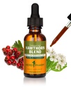 Kräuter Pharm Hawthorn Mischflüssigkeit Extrakt für Herz-Kreislauf- und Kreislaufunterstützung, 1 Fl Oz