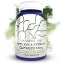 Nootropics Depot Gotu Kola Extrakt Kapseln | 120mg | 90 Count | Acid Resistant | Centella asiatica | 35-45% Triterpene | Unterstützt gesunde Stress Levels | Fördert Gedächtnis Enhancement