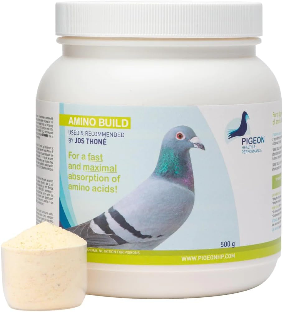 Generic PHP Amino Build 500g - Muscle-Building Amino Acids Pigeon Health & Performance