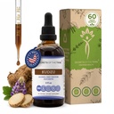 Segreti della Tribe Kudzu Tincture Alcohol-Free Liquid Extract, Kudzu (Pueraria Lobata) Dried Berry (4 FL OZ)