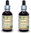 Heartsease (Viola Tricolor) Tinktur, Organic Dried Leaves and Flowers Liquid Extract (Markenname: HerbalTerra, Proudly Made in USA) 2x2 fl.oz (2x60 ml)