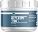 Polvere di estratto di Kelp di elementi terrestri 1.1 lb, puro e naturale, Superfood