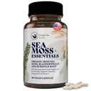 HAPPY FOX Irish Sea Moss Kapseln mit Burdock Root & Bladderwrack - Alternative zu Seamoss Gummies oder Pulver, 90 Vegan Kapseln, Made in USA