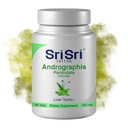 Andrographis Paniculata Suppléments – 60 comprimés à base de plantes Bien-être respiratoire – Immune force restauratrice Andrographis Comprimés – 500 Mg d'herbe verte biologique Chiretta