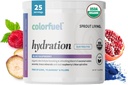 Sprout Living, Colorfuel Hydratation poudre boisson mélange, bio Superfoods + adaptogènes. Hydratation et récupération, électrolytes, sel rose himalayen, spiruline bleue, parfum de framboise bleue (25 portions)