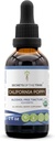 California Poppy USDA Organic Tincture | Alcohol-FREE Extract, High-Potency Herbal Drops | Realizzato in 100% Certified Organic California Poppy (Eschscholzia Californica) Dried Herb and Flower (2 oz)