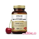 Methyl B-12 5000mcg Chewable with Folate - Vitamin B12 Methylcobalamin Sublingual Tablets - Supports Energy & Brain Function - Vegan Supplement - Cherry Flavor - 120 Count