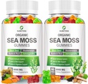 NUBETONG Irish Sea Moss Gummi 6000 mg mit Bladderwrack und Burdock Root - Natural Irish Seamoss Supplement für Schilddrüse, Energie, Immununterstützung - Extra Strength, Great Tasting - Glutenfrei, Vegan