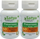 Punarnava Forte Capsule 500 mg. 60 Veg. Capsule | Punarnava (Boerhaavia Diffusa) Extrakt Kapseln für Männer und Frauen | Ayurvedische Kräuterergänzung/Remedies | 10:1 Forte (2 Flaschen von 60 Kapseln)