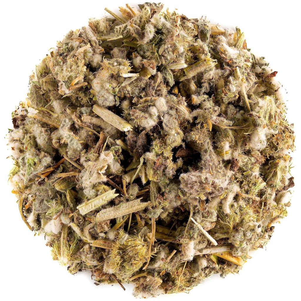 Herbe de thé de feuille de horehound - Feuilles de horehound blanc Thé de horehound