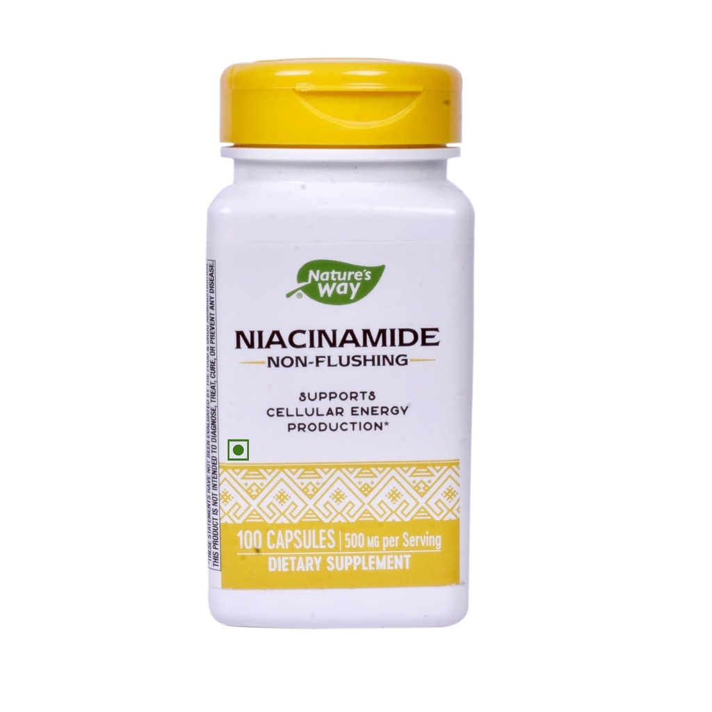 Nature's Way Niacinamid 500mg - 100 Kapseln (2-Pack)