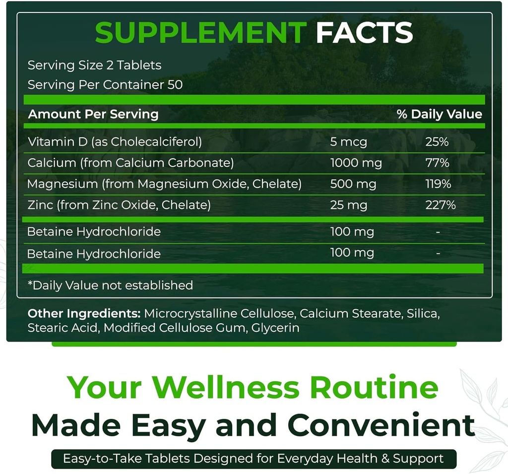 Nutra naturale 500 Conto, Calcio Magnesio Zinco Supplemento con Vitamina D3 per Bone Forza, Aiuta a migliorare la digestione, Salute Gluten Libero e senza zucchero, Complesso minerale essenziale