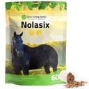 Silber Futter Kräuter Nolasix Lung & Zirkulation Ergänzungen für Pferde – Natürliche Kräuter Pferde Ergänzung für Zirkulation, Herz-Gesundheit & Lung Unterstützung – Normale Atmung & Gefäßunterstützung – 1 lb