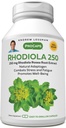 ANDREW LESSMAN Rhodiola Rosea 250mg - 30 Capsules - Extrait standardisé. Adaptogène naturel. Combattre le stress et la fatigue. Il favorise le bien-être. Pas d'additifs. Petites capsules faciles à avaler