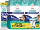 GuruNanda Hydramate Hydration Support Drink Mix - Electrolyte Powder Packets for Dehydration, Exercise & Energy - Nessun Addobbinamento aggiuntivo, Non OGM, Natural Lemon Lime Flavor - 24 Count (0.56 oz Ogni)