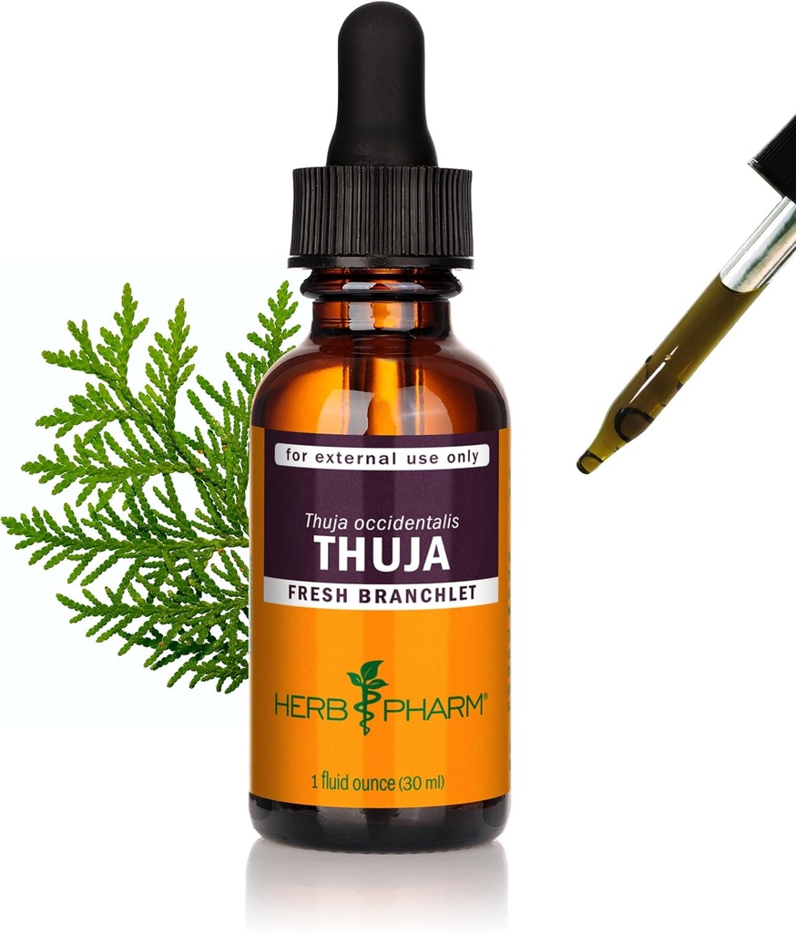 Herb Pharm Thuja Branchlet Liquid Extract - 1 Ounce (DTHUJA01)