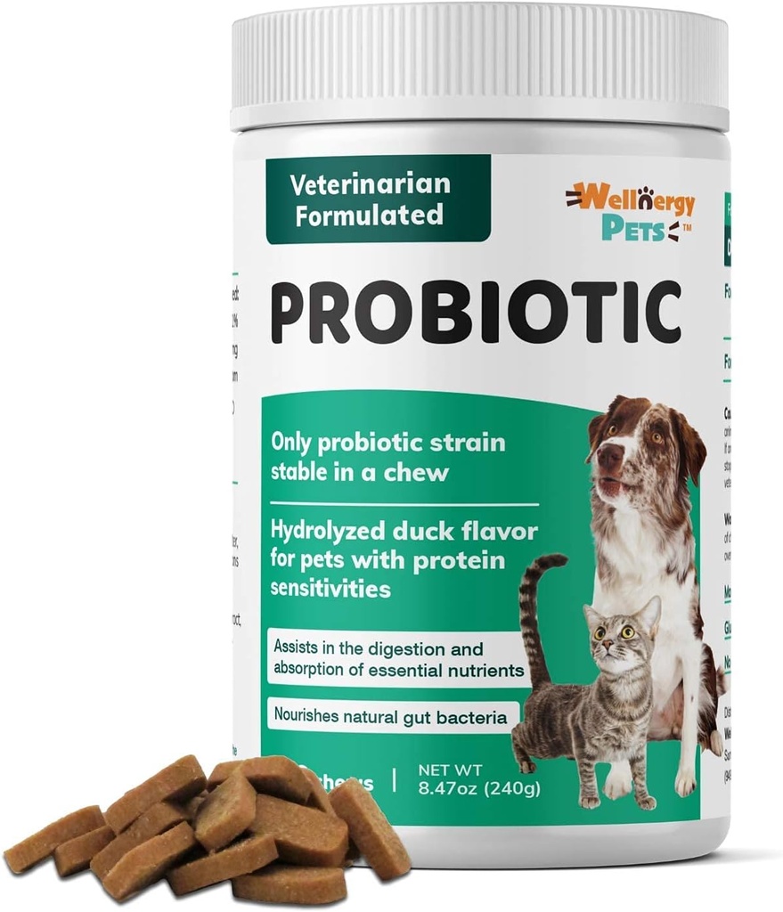 Wellnergy Daily Probiotic & Prebiotics Soft Chew for Dogs & Cats - Verdauungsunterstützung für Durchfall, Verstopfung, Magen, Verdauung & Gas - Hilft Verdauung, Allergie Haut und Immungesundheit 160ct