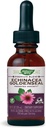 Nature's Way Premium Formula Echinacea-Goldenseal, 250 mg per serving, 99.9% Alcohol-Free, 1.01 Oz.