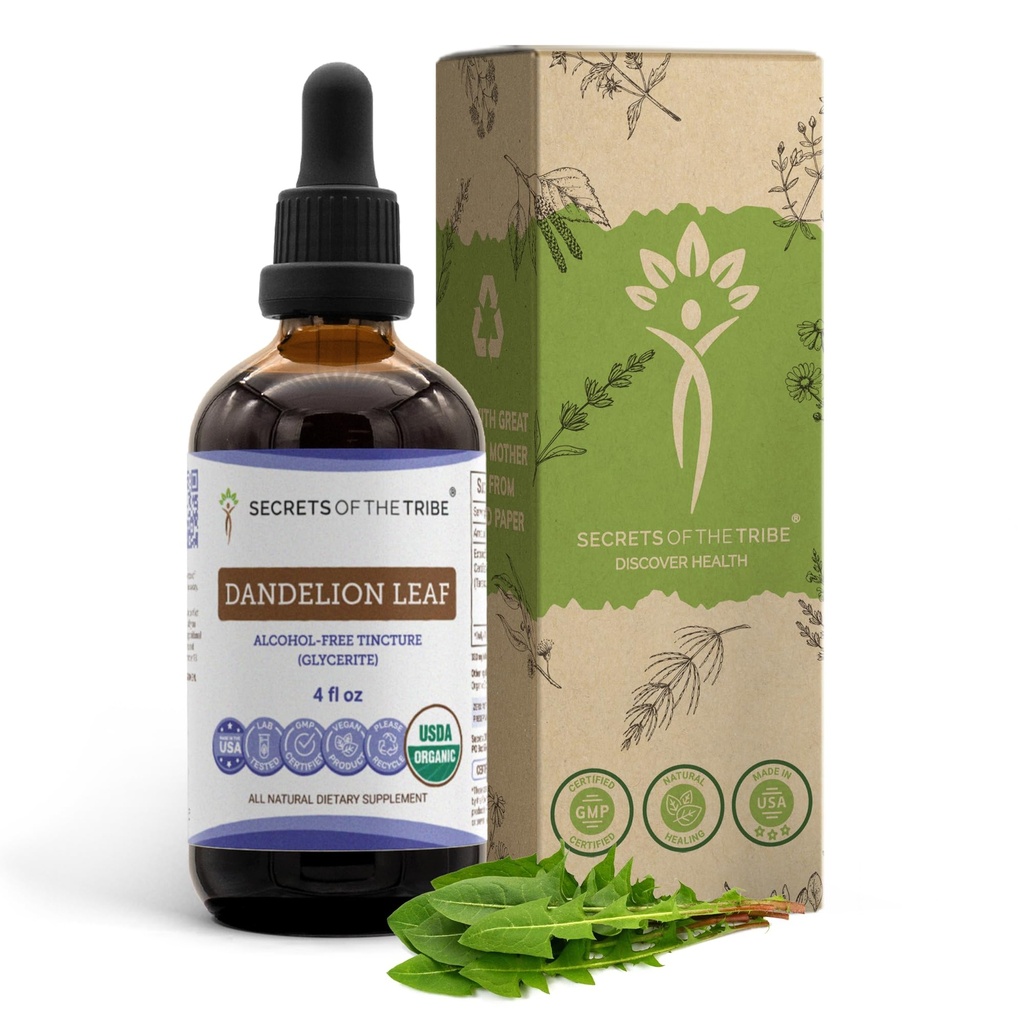 Secrets of the Tribe Dandelion Leaf USDA Organic | Alkoholfreier Extrakt, hochkarätige Kräutertropfen | Hergestellt aus 100% Certified Organic Taraxacum Officinale Dried Leaf 4 fl oz