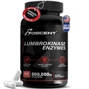 Lumbrokinase Supplement 40mg (60 Kapseln) - Maximale Aktivität-800.000 UI - Reine Lumbrokinase Enzyme Verdauungsenzyme, Bessere als Serrapeptase Nattokinase Supplement, Lab Tested, Non GMO