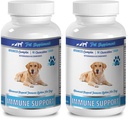 pet Rinforzo immunitario - Supporto avanzato del sistema immunitario - CHEWABLE - per cani - ashwagandha per cani - 2 Bottiglia (180 Chews)