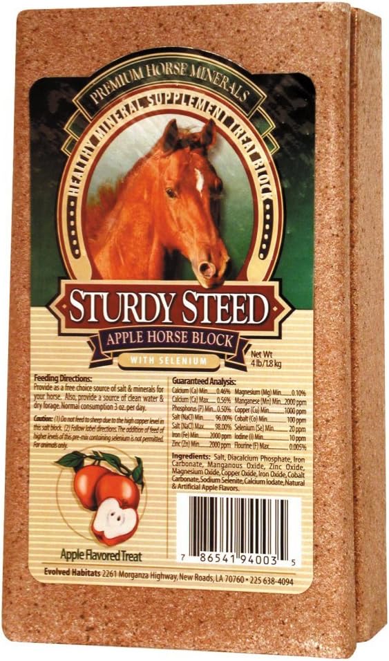 Sturdy Steed sano supplemento minerale Treat Block di mele per cavalli, 4 sterline