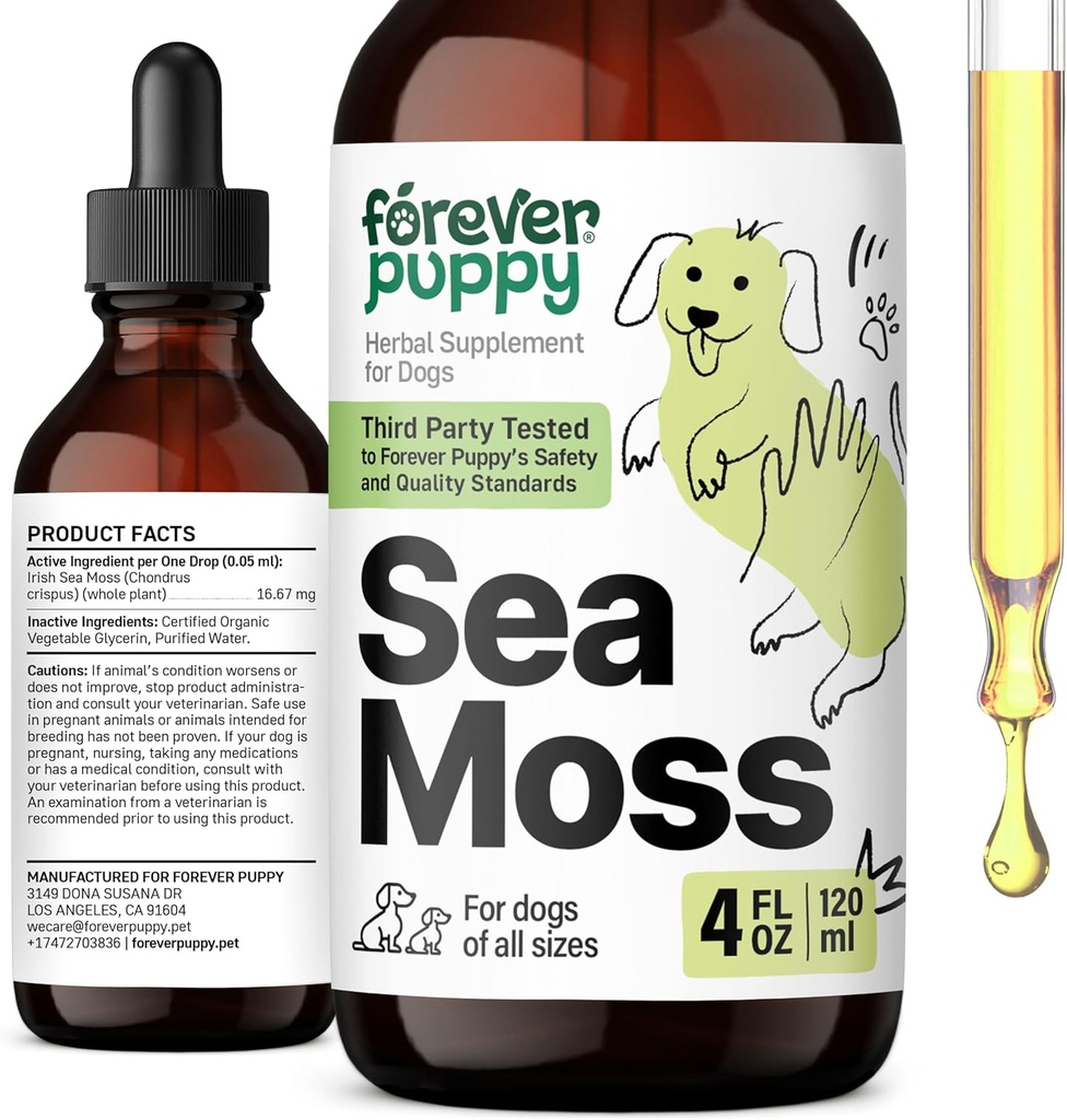 Forever Puppy Irish Sea Moss Tropfen für Hunde - Schilddrüse & Energie Unterstützung für alle Rassen & Größen - Hundefuttermittel mit flüssigem Seamoss Extrakt - Vitamine und Ergänzungen - Zucker & Alkoholfrei -4 oz