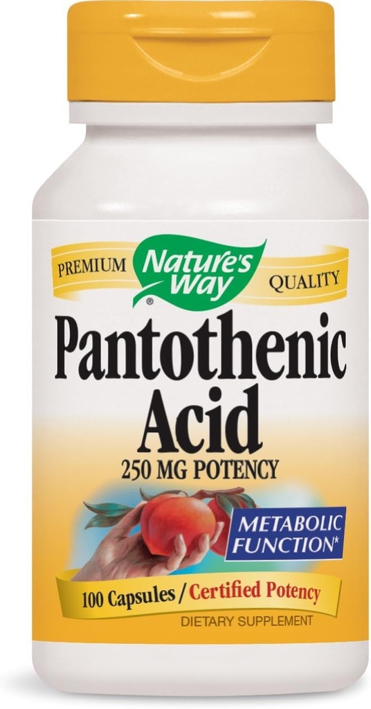 Nature's Way Pantothenic Acid 250 Milligramm Potency, 100 Kapseln. Packung mit 3 Flaschen