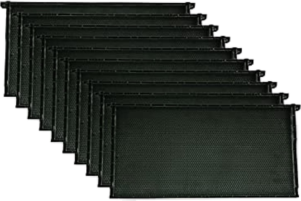 Cadres d'apiculture premium de Mann Lake, cadre et fondation tout-en-un, revêtement en cire d'abeille naturel, coupe universelle, sans BPA et BPS, 9 1/8 pouces, noir, 10-pack