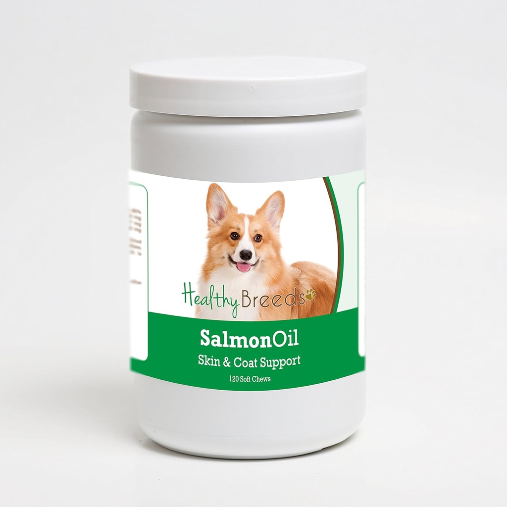 Gesunde Rassen Pembroke Welsh Corgi Lachsöl Weichkäse 120 Graf