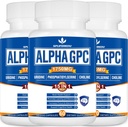 15-in-1 Alpha GPC Supplemento con Phosphatidylserine, Uridine, L-teanina, Lion's Mane Mushroom, 180 capsule