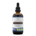 Secrets of the Tribe Goldenseal and Echinacea Alcohol-Free Liquid Extract, Kräuter (Echinacea Root (Echinacea Purpurea), Goldenseal Root (Hydrastis Canadensis)) Tinktur Supplement (4 FL OZ)