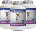 Dog Vomit Diarrhea - PROBIOTICS für Hunde - Gesundes Gut - Stoppen Gas Durchfall und Bad Breath - Verdauungs-Boost - Hundeprobiotika kaubar Buddy - 3 Flaschen (180 Bäume)