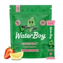 Waterboy entraînement Hydratation $ 2,960mg Sans sucre Electrolyte en poudre Packets $ L-Glutamine + Vitamines $ Pas de sucre, tout naturel, sans gluten $ 15 Mélanges de bâton de boisson (Lémonade de mûres)