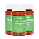 CAW Nano Cycloastragenol 98% 5mg 30 capsules anti-Aging Telomere Plus.