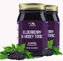 Green Jay Gourmet Elderberry Tonic – All Natural Elderberry Syrup – Elderberry Immune Support for Kids & Adults – Powerful Elderberry & Honey Blend – Sambucus Elderberry Syrup – 2 x 22 Unzen